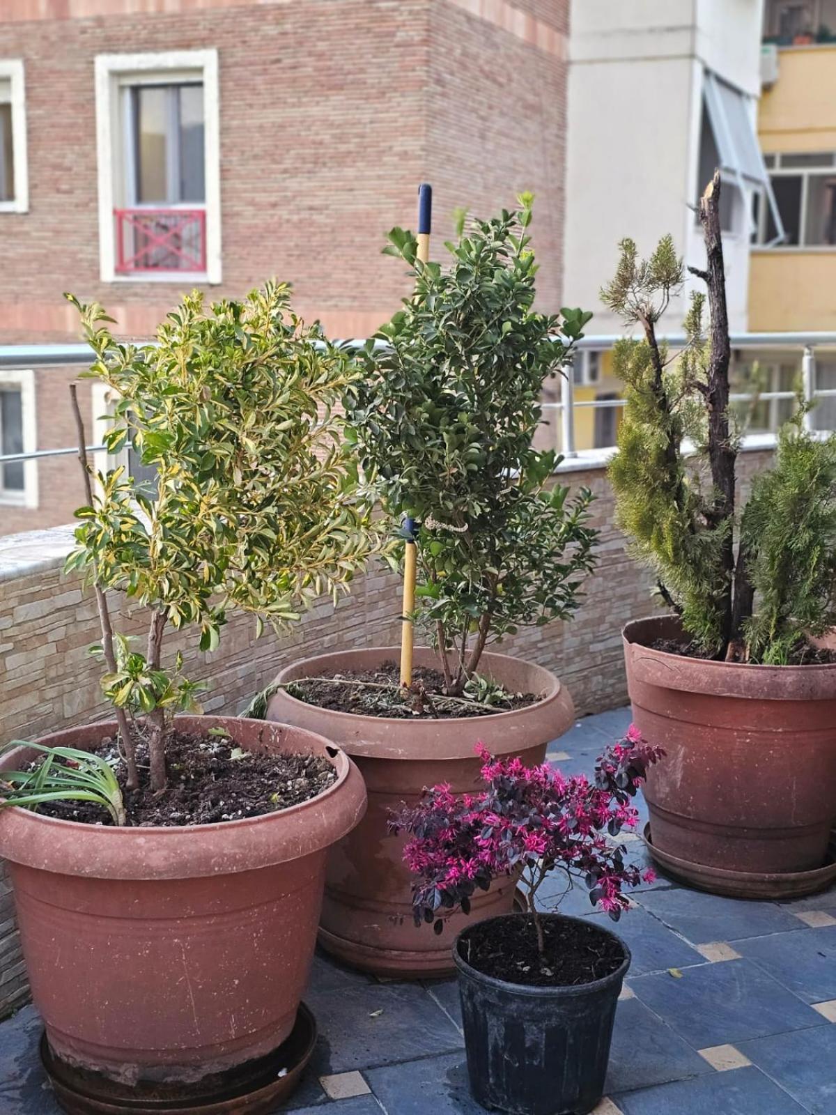 Main Apartamento Tirana