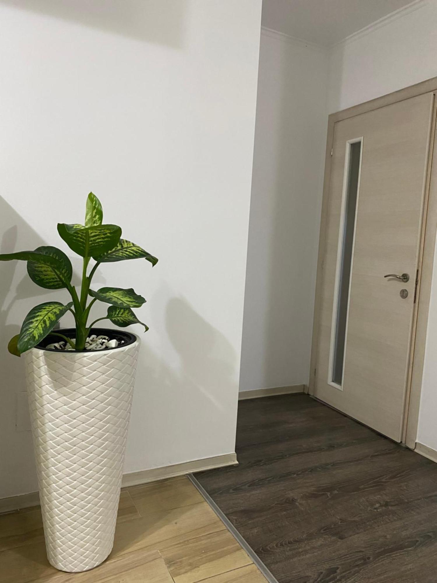 Apartamento Main